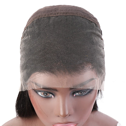 Human Hair HD Lace Wigs - ADJOVIMARK